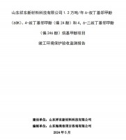 山東祥東新材料科技有限公司1.2萬(wàn)噸/年6-叔丁基鄰甲(60K)、4-叔丁基鄰甲酚(偏 24 酚)和 4，6-二叔丁基鄰甲酚(偏 246 酚)烷基甲酚項(xiàng)目竣工環(huán)境保護(hù)驗(yàn)收監(jiān)測(cè)報(bào)告